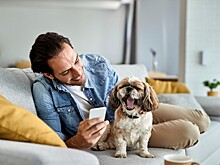 Baidu хочет расшифровать язык животных