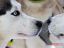 Куда пойти в выходные в Перми? Афиша на 18-19 марта