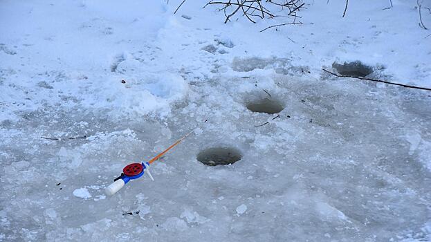 В Вологде девочка погибла, провалившись под лед