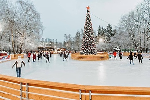 Более 700 площадок для катания на коньках и хоккея будут работать зимой в Подмосковье