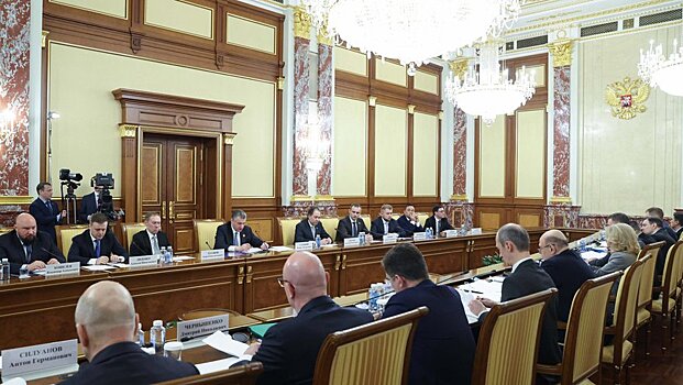 Депутаты фракции ЛДПР обсудили с Михаилом Мишустиным свои инициативы по вопросами поддержки граждан