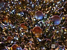 Парки Нижнего Новгорода начали украшать к Новому году