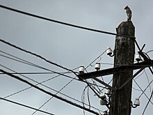 Непогода выявила проблемы тверских электросетей