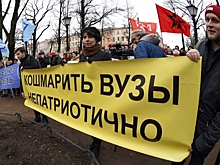 В Петербурге митинговали против «оптимизации» в образовании. Фоторепортаж