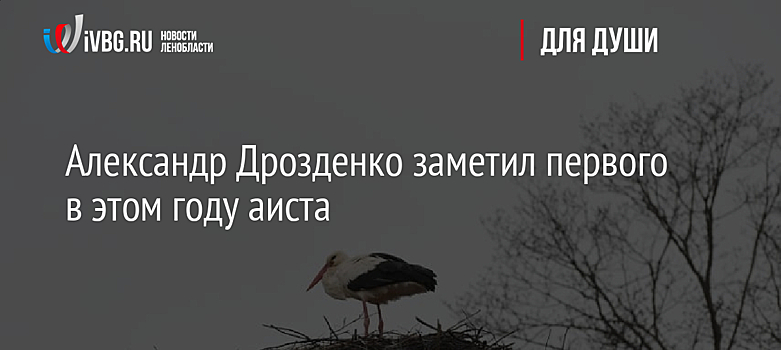 Александр Дрозденко заметил первого в этом году аиста