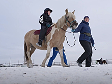 Не просто катание, не обычный контакт: как приобские лошади помогают людям выздоравливать и менять образ жизни. ВИДЕО