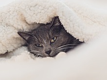 Отопительный сезон в Воткинске начнется 18 сентября