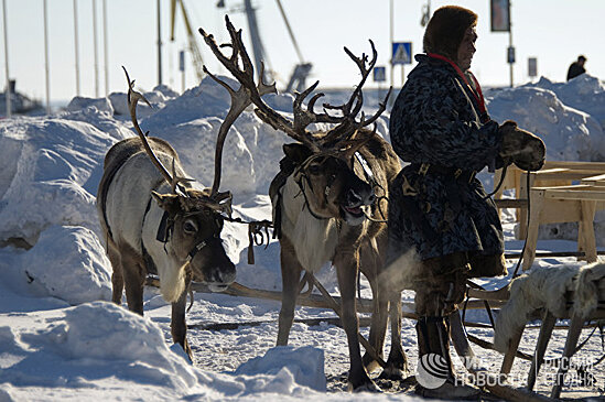 Нихон кэйдзай (Япония): олени любят рыбу. Изучив жизнь хантов, я удивилась