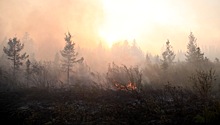 Очаги и площади природных пожаров на Дальнем Востоке выросли за месяц в 30 раз