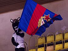 ЦСКА обыграл «Пермских медведей» в матче SEHA—Gazprom League