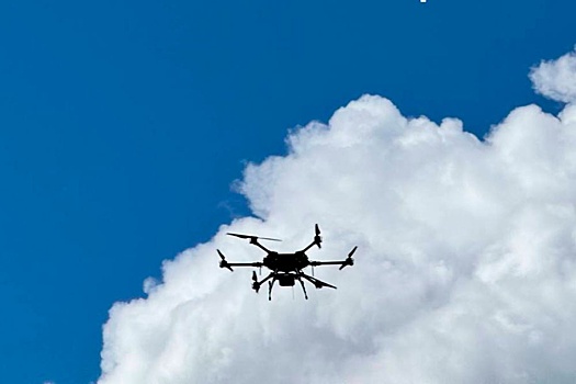 Свыше 50 тяжелых ударных дронов "Ночная ведьма" производят в РФ каждый месяц