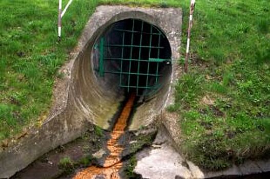 Соцсети: Водитель ассенизатора напал на сотрудника лесхоза под Ставрополем