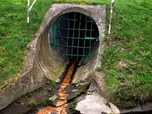 Соцсети: Водитель ассенизатора напал на сотрудника лесхоза под Ставрополем