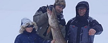 13-ти килограммовую щуку поймал рыбак в Шекснинском районе Вологодской области