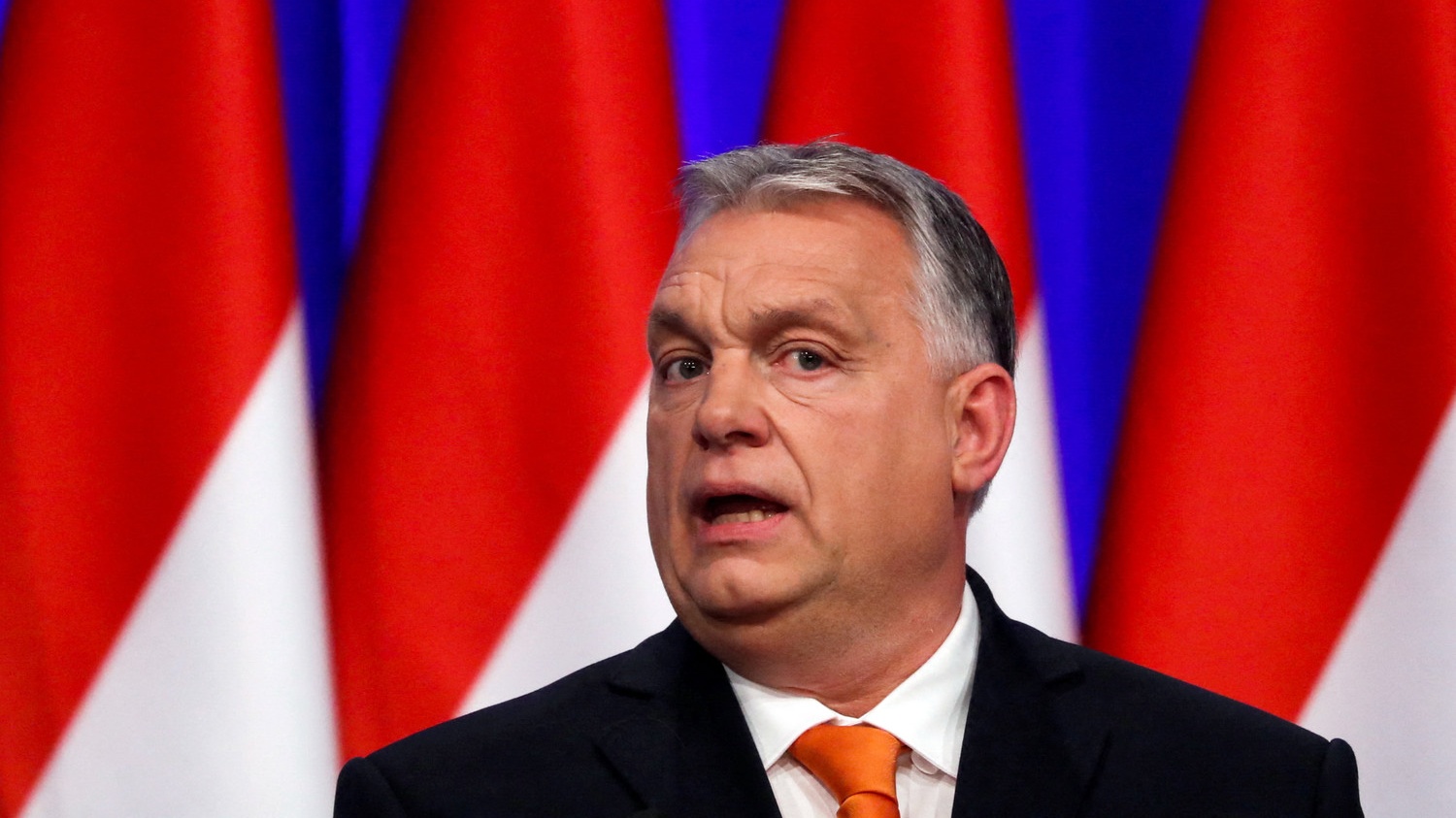 �����&nbsp; ������ ���������� ��������� �������������