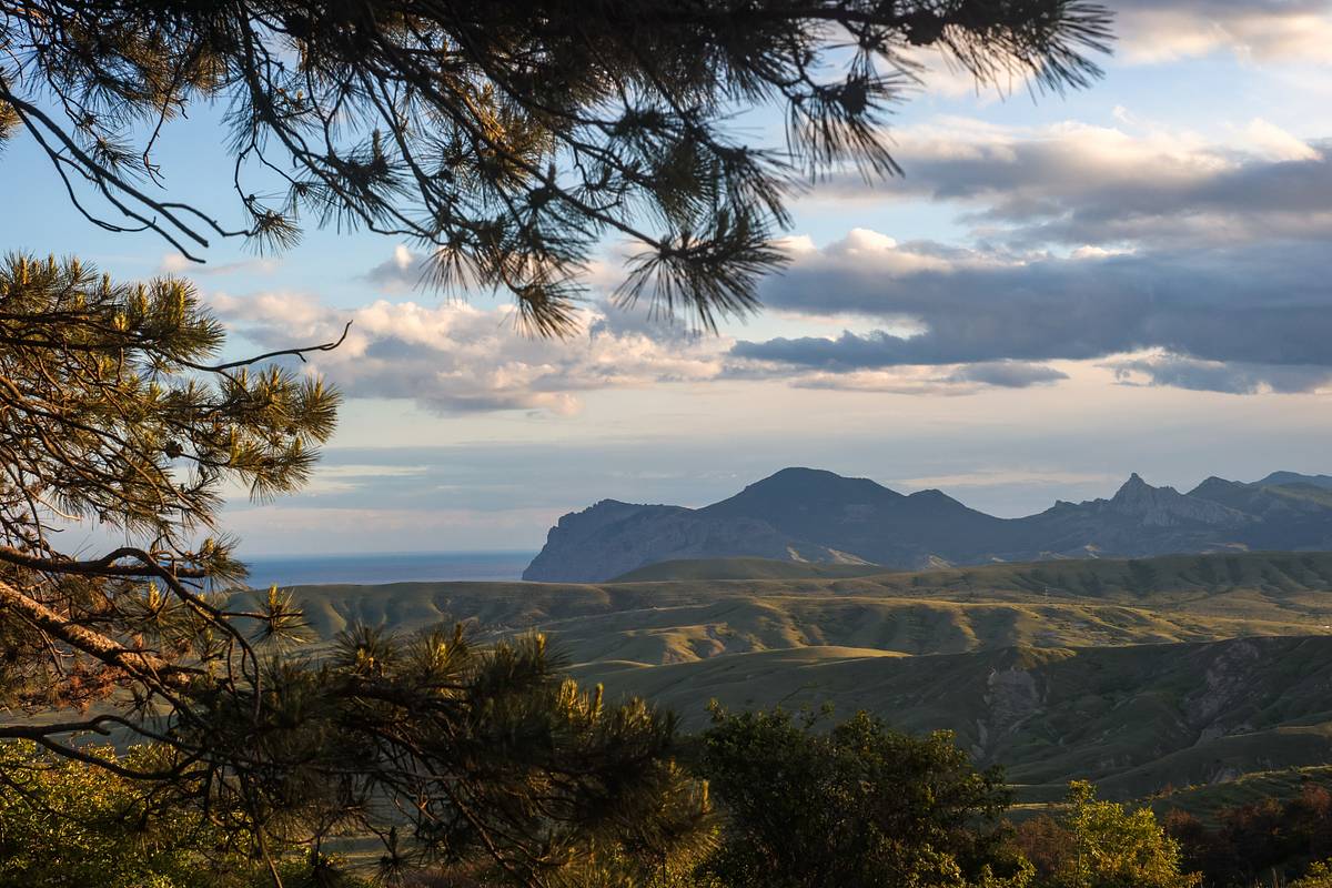 В Крыму предложили ввести уголовное преследование ждунов