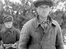 Операция «Ульм»: как русская тайга победила немецких диверсантов