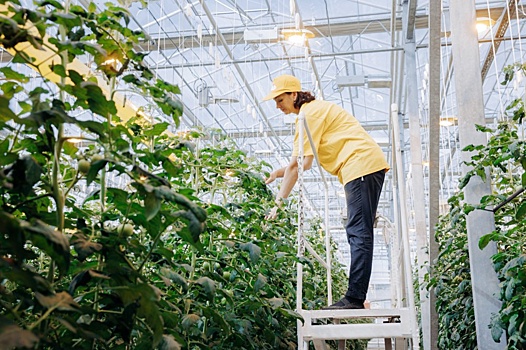 Более 200 предприятий Самарской области повышают производительность труда