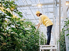 Более 200 предприятий Самарской области повышают производительность труда