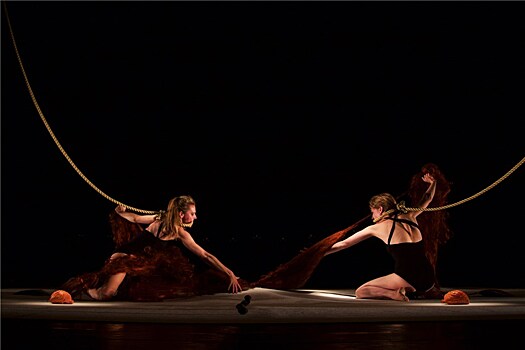 В Москве пройдет фестиваль «NET: Новый Европейский театр»