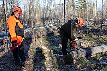 Свыше 100 лесных пожарных в Красноярском крае освоят новую профессию