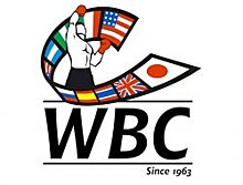 Обновился рейтинг WBC: Александр Гвоздик вошёл в топ-5