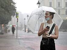 Синоптики пообещали теплую и дождливую погоду с грозами в Москве 2 августа