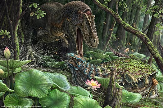Найден новый родственник тираннозавра