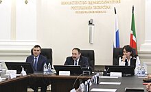 И.о. министра здравоохранения Татарстана Марселя Миннуллина представили коллективу