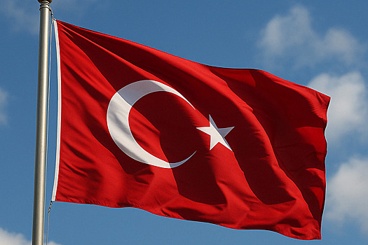 Военкор потребовал от Турции не возить на Украину товары двойного назначения