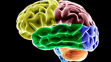Невролог назвала причины нарушения памяти