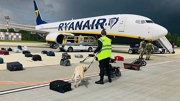 ЕС обсудит на саммите экстренную посадку самолета Ryanair