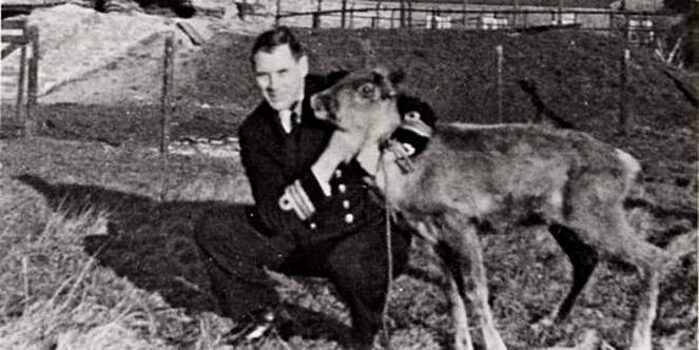 «Как выжить в подводной лодке с северным оленем?»: опыт Второй мировой войны