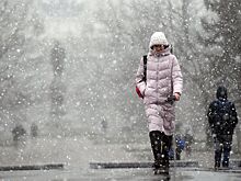 Синоптик дал прогноз на зиму в Центральной России