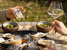 Ресторан «Шато Терра»– новое атмосферное место на Невском проспекте