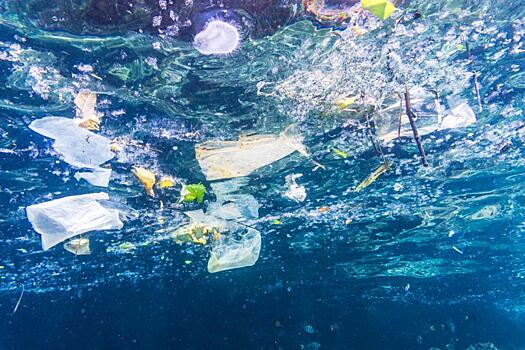 Ученые создали приложение для обнаружения пластика в море