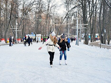 Гости катка в "Сокольниках" услышат новогодний сборник с отрывками из русской классики