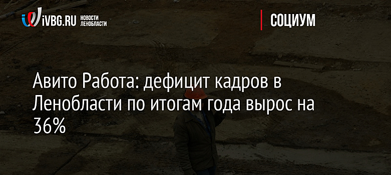 Авито Работа: дефицит кадров в Ленобласти по итогам года вырос на 36%