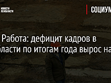 Авито Работа: дефицит кадров в Ленобласти по итогам года вырос на 36%