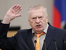 Жириновский заявил о влиянии публичных домов на снижение количества убийств