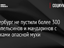 Россия в мае снизила экспорт золота до $5,2 млрд