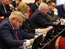 Кубанские депутаты дополнили региональный закон о промполитике новым пунктом