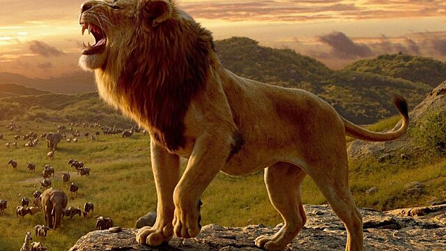 Disney хочет превратить ремейк «Короля Льва» во франшизу уровня «Звёздных войн»