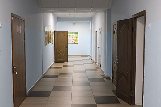 В департаменте образования рассказали, для чего объединяют школы в Курганской области