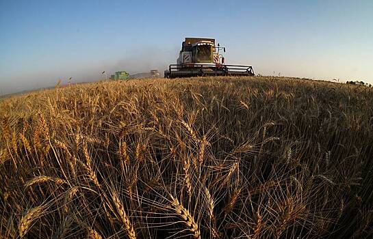 Экономике России предсказали новый удар