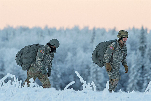 Более 10 солдат на учениях НАТО в Швеции вернулись домой с травмами