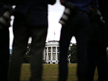 Политолог: Трамп может поискать союзников среди стран БРИКС
