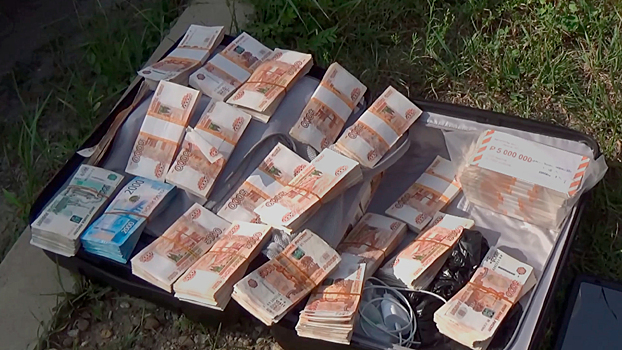 В Биробиджане сотрудники полиции вернули местному жителю чемодан с 15 млн рублей