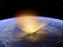 Slate (Франция): чем будет питаться человечество, когда наступит конец света?