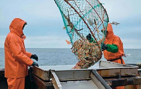 Владелец крупного пакета акций рыбного порта в Приморье может стать банкротом